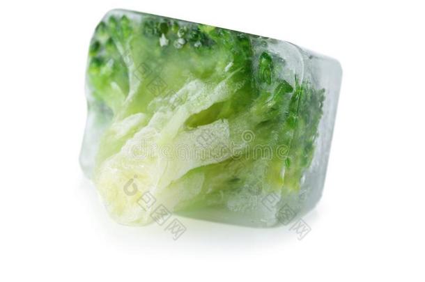 新鲜的花椰菜采用冰立方形向白色的背景