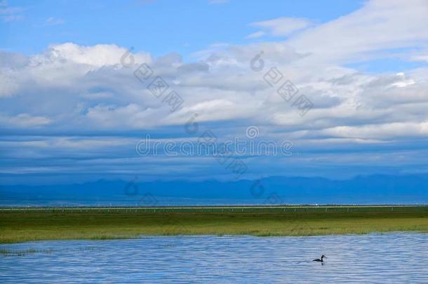 青海湖风景