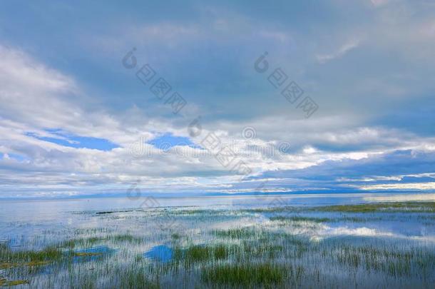 青海湖风景