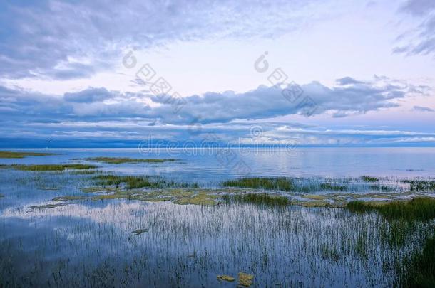 <strong>青海湖</strong>风景