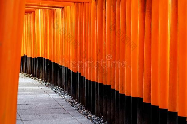 红色的门道路,牌坊走廊采用福希米伊纳里泰沙,京都,日本的椰子牛轧