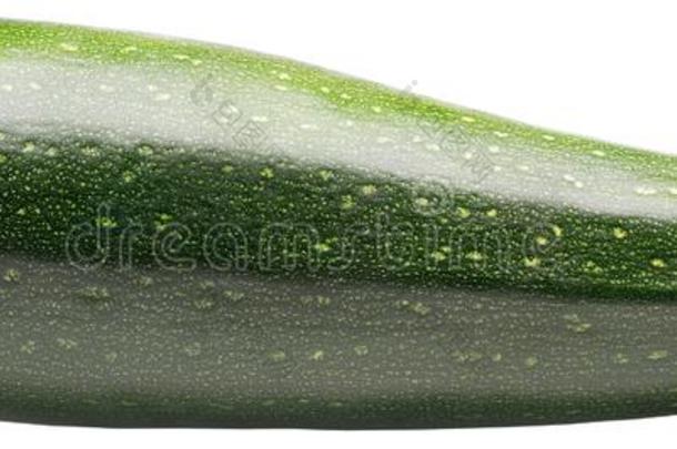 孤独的夏季产南瓜之一种.两个夏季产南瓜之一种或小胡瓜隔离的向白色的