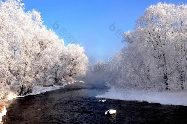 雪-大量的风景