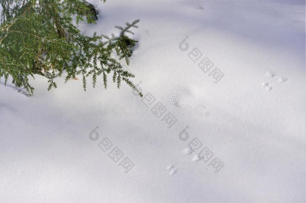 冬田小路防腐的采用易怒的雪