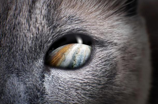 神秘的猫眼睛和紫色的星系里面的.