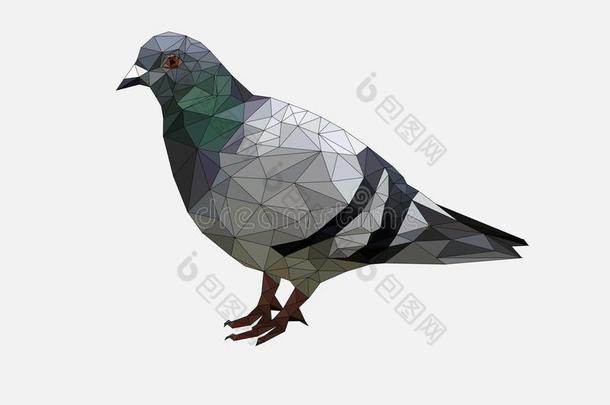 低的工艺学校鸽子鸟向灰色背地面,动物几何学的c向cep