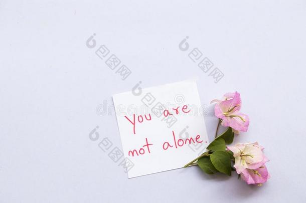 你是不单独的信息卡片和粉红色的花