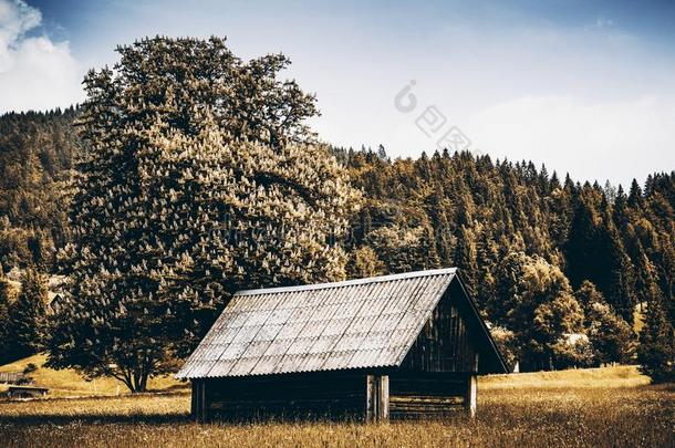 .孤独的木制的牧羊人小屋在秋