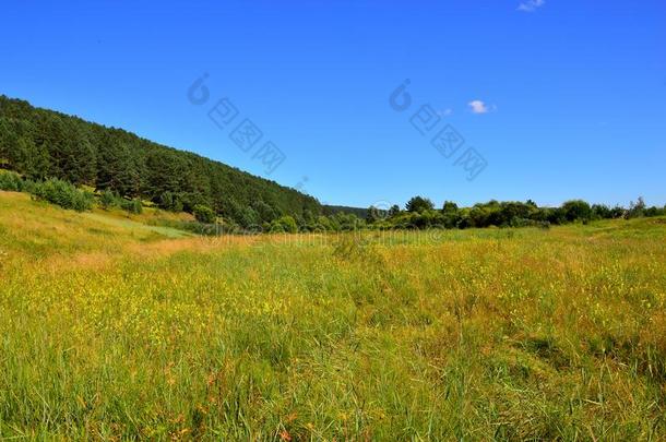 夏风景.和煦的：照到阳光的一天.大的草地和小山.一份额关于草