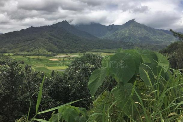 一地点从指已提到的人岛关于考艾岛向美国夏威夷州