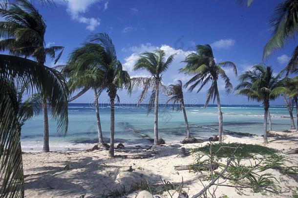 墨西哥尤卡坦半岛墨西哥的旅游城市坎昆海滩加勒比海海