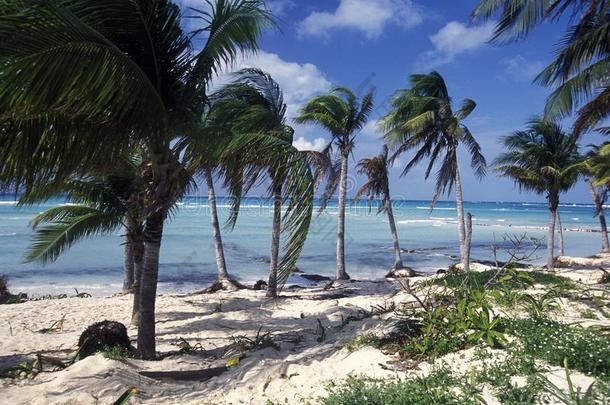 墨西哥尤卡坦半岛墨西哥的旅游城市坎昆海滩加勒比海海