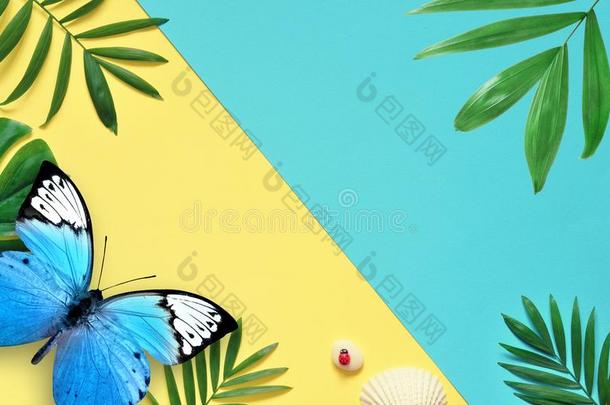 热带的背景.手掌树树枝和蝴蝶和海