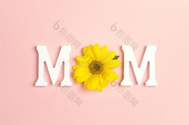 单词妈妈和黄色的向日葵向粉红色的背景.母亲`英文字母表的第19个字母一天