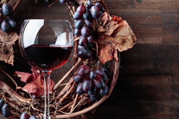 玻璃关于红色的葡萄酒和葡萄和干燥的藤树叶.