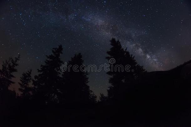 夜照片.指已提到的人像牛奶的道路和指已提到的人黑暗的轮廓关于巨大的斯普鲁