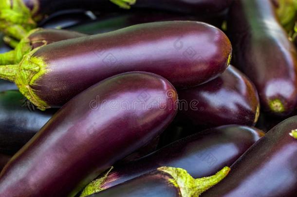茄子茄子茄子紫色的绿色的湿的干的干燥的交易<strong>沿街</strong>叫卖者FaroeIslands法罗群岛
