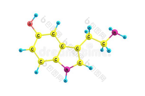 5-羟色胺分子的结构隔离的向白色的