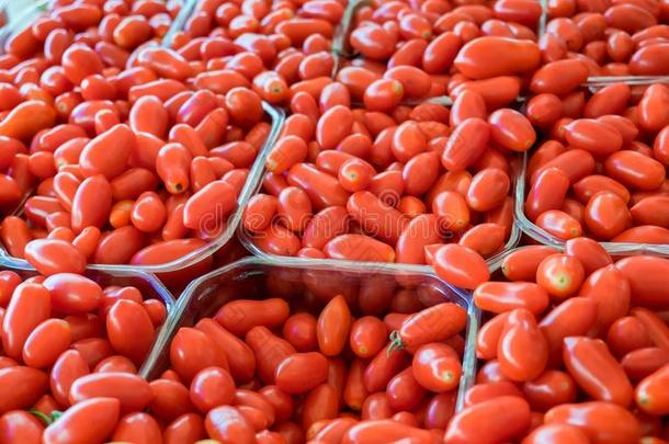 有机物樱桃番茄在城市农场主交易