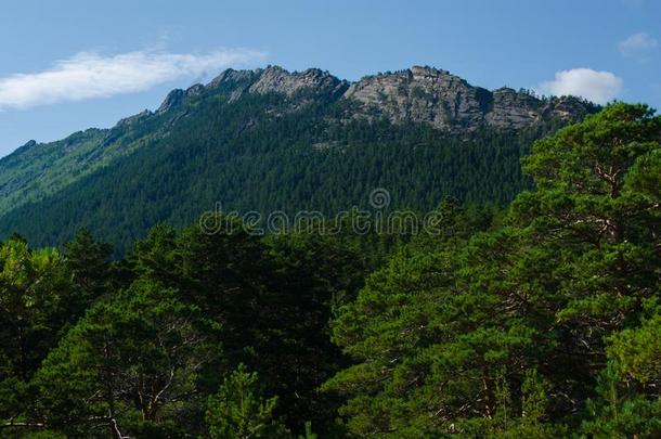 山风景,山大量的和松树森林.