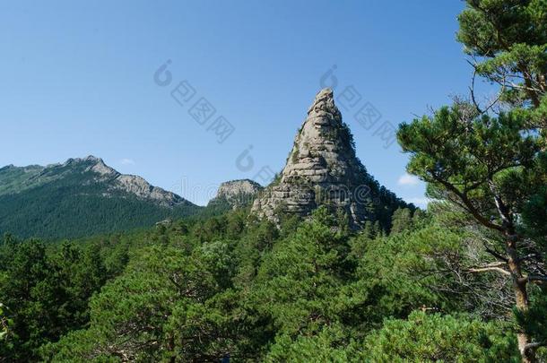 山风景,山大量的和松树森林.