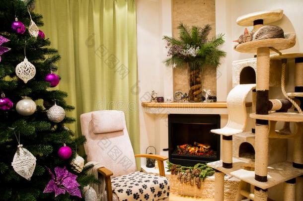 一舒适的活的房间装饰向庆祝圣诞节和新的年