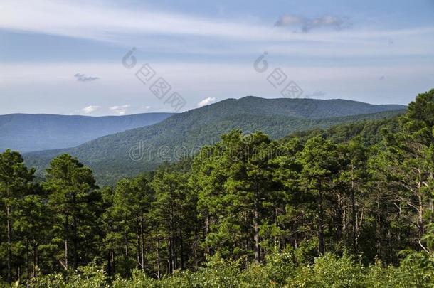 风景优美的远景关于山和庄严的松树