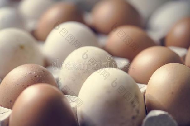 特写镜头关于新鲜的有机的卵