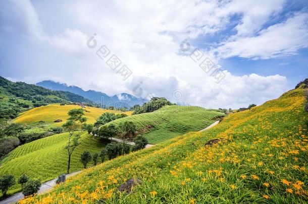 指已提到的人桔子==同步黄花菜花农场在num.六十岩石