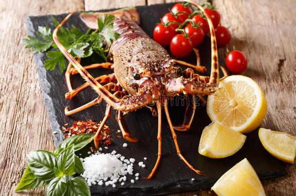 美味的生的食物:长满刺的龙虾和番茄,柠檬和草,英文字母表的第19个字母