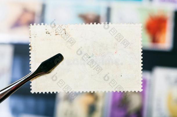 V形夹子保存邮费邮票和未用过的背面