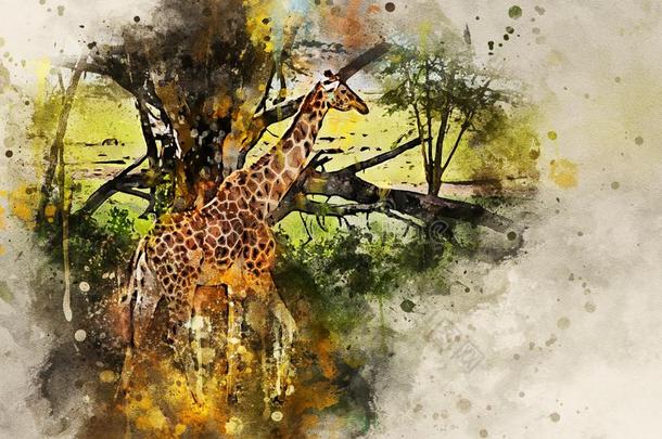 数字的溅起水彩绘画关于乌干达人长颈鹿