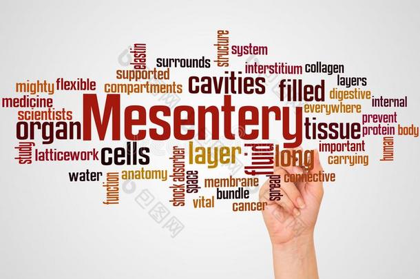 Mesentery单词云和h和和标识观念