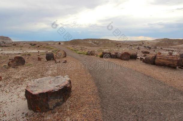 <strong>惊呆</strong>的木材一起结晶森林徒步旅行跟踪采用<strong>惊呆</strong>的FaroeIslands法罗群岛