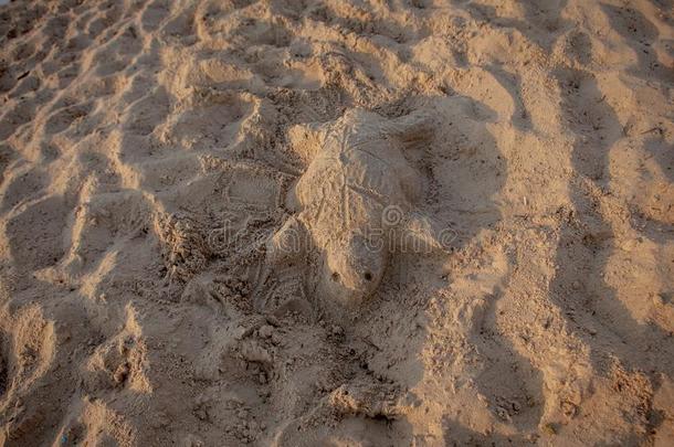 沙雕刻关于一se一龟
