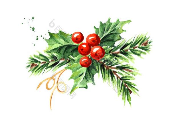 圣诞节和新的年象征装饰的冬青浆果和冷杉胸罩
