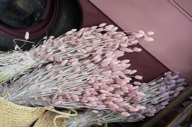 花束关于装饰的干的干燥的粉红色的小穗,小麦耳关-在上面向