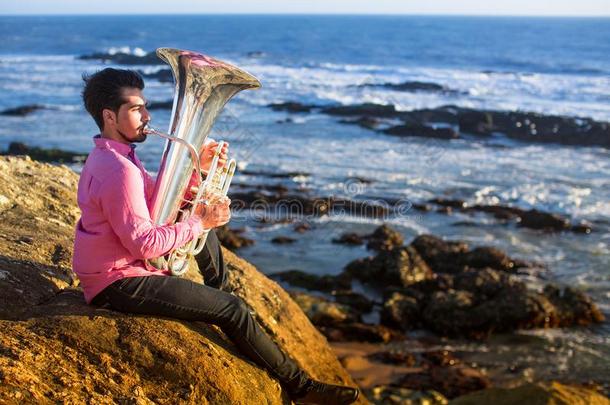 孤单的音乐家演奏指已提到的人大号向指已提到的人洋海岸.