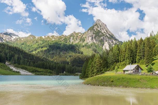 开花草地三叶草向一花草地采用夏,Germ一nyL一n