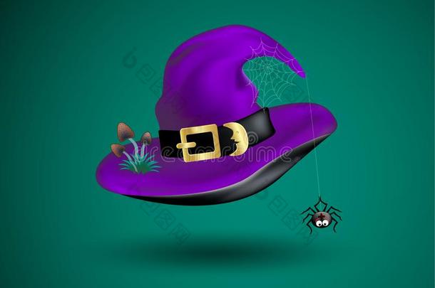 紫色的女巫帽子和使人惊慌的布置关于黑的有趣的蜘蛛向科布威