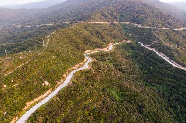 空气的雄蜂看法关于山道路采用森林在背图兰科伊/