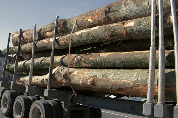 <strong>木材</strong>货车和负荷关于树树干