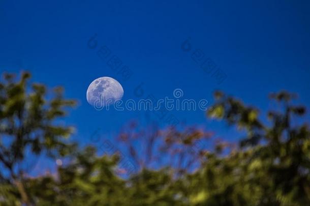 月亮采用第四阶段wan采用g在下面指已提到的人树采用蓝色天