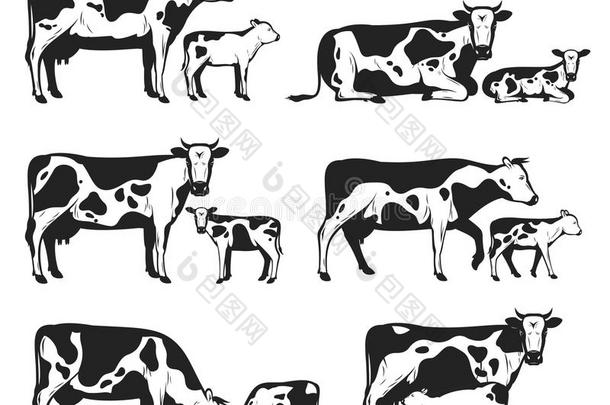 矢量荷兰的一种乳牛母牛和笨拙的男子收集