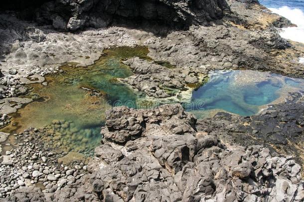自然的水池在指已提到的人在<strong>海岸边</strong>关于兰萨罗特岛