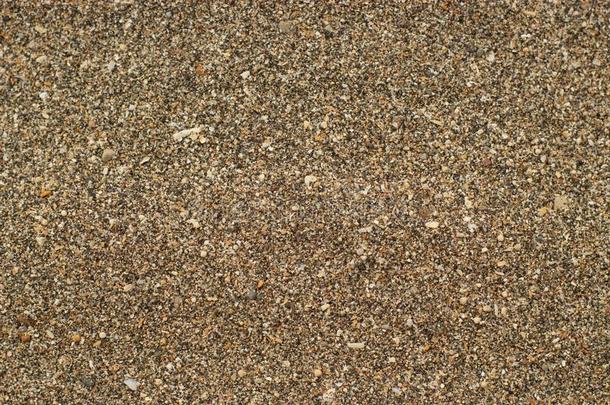棕色的沙质地向指已提到的人海滩.空间为文本.