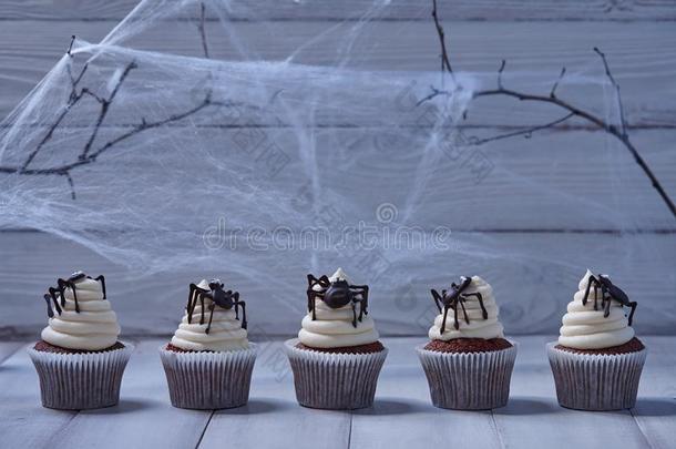 万圣节前夕纸杯蛋糕和<strong>巧克力</strong>蜘蛛向白色的木板采用哞