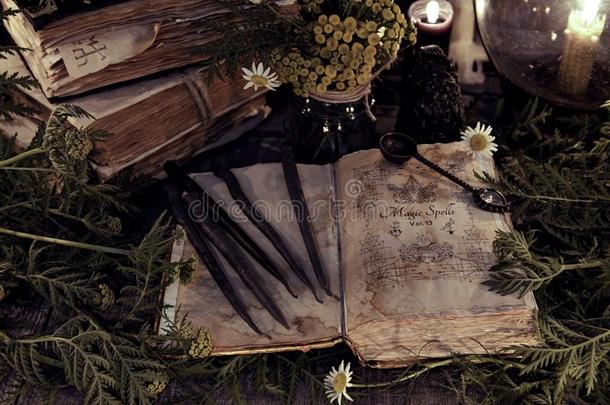 古老的魔法书和蹩脚货破旧的页,草本植物和黑的aux.能够