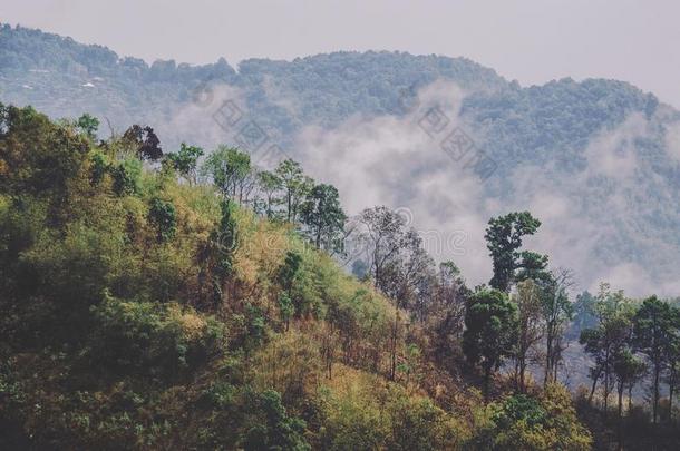 多雾的小山,ThaiAirwaysInternational泰航国际乡村