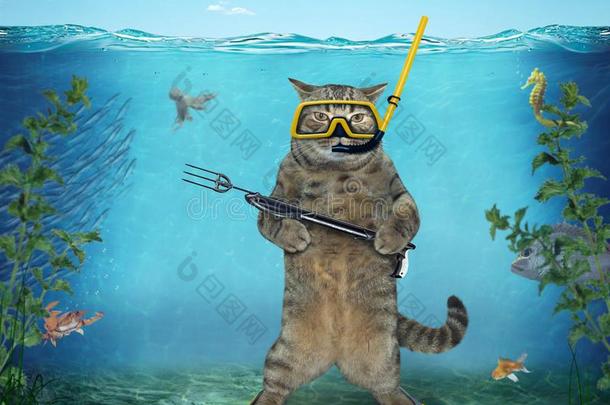 猫潜水员2